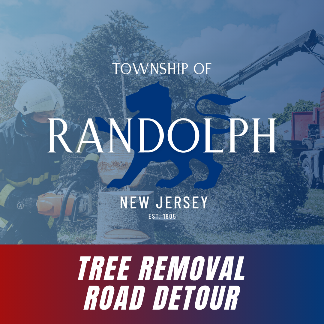 Tree Removal (2)