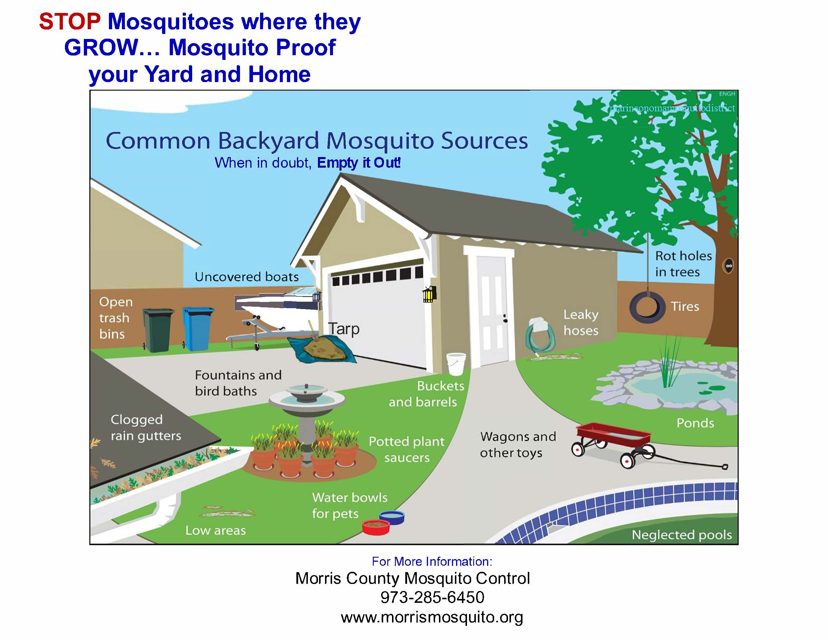 Common Backyard Mosquito Sources Flyer 2023